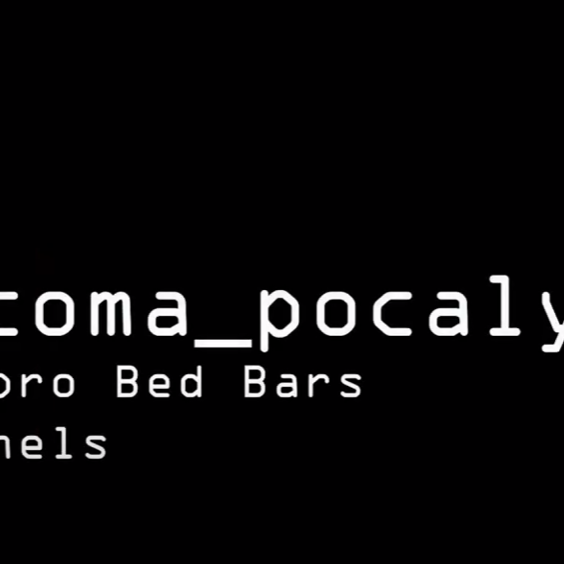 Tacoma_pocalypse Low-Pro Bed Bars