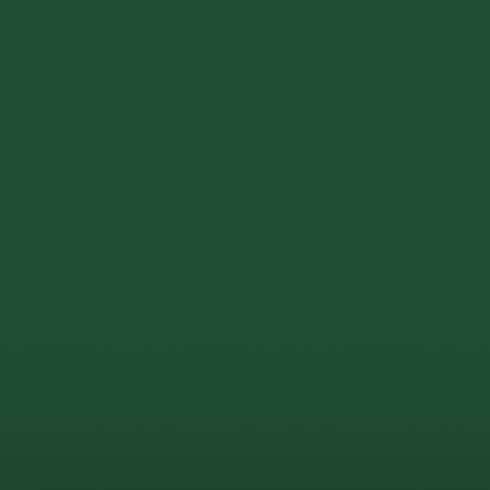 Steering Wheel Overlay