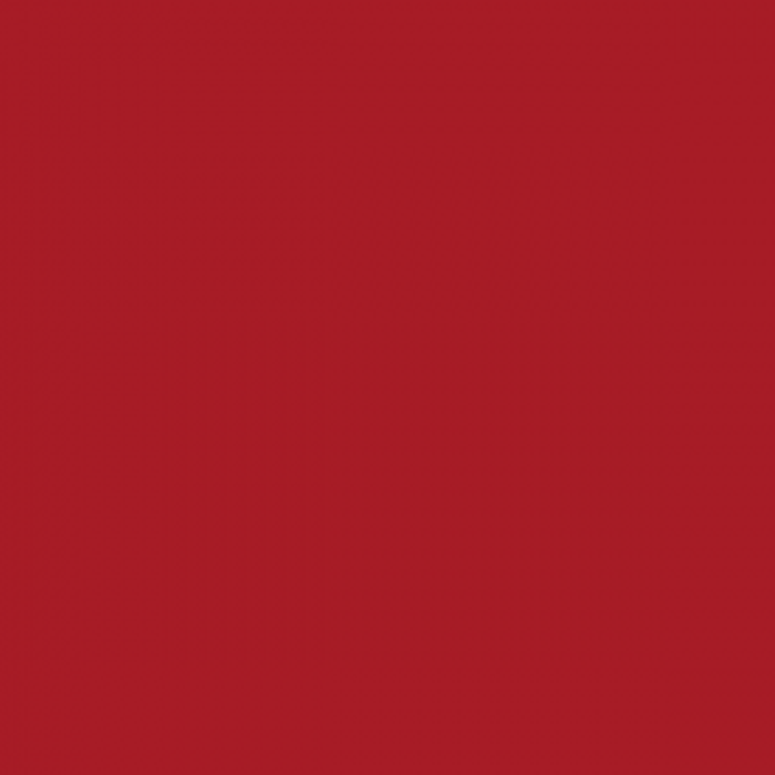 Steering Wheel Overlay