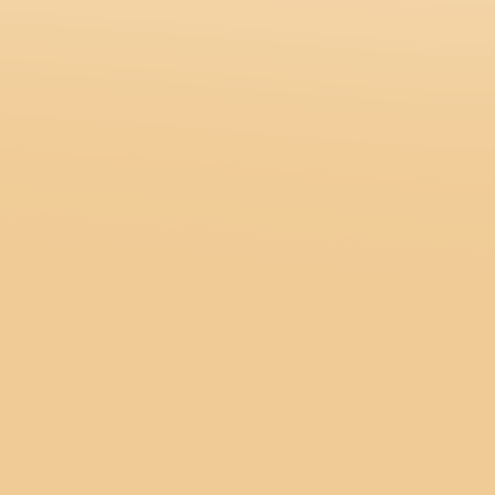 Steering Wheel Overlay