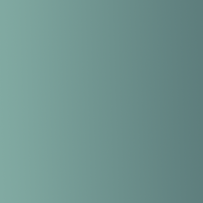 Steering Wheel Overlay (2024+ Tacoma/2025+ 4Runner)