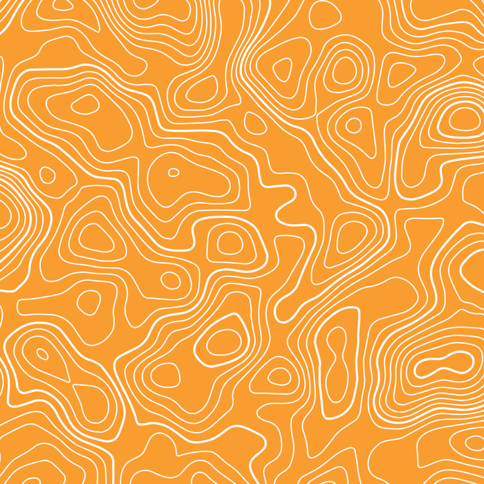 Standard Pro Grille Insert Decals