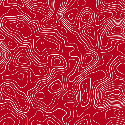 Standard Pro Grille Insert Decals