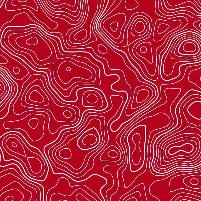 Standard Pro Grille Insert Decals