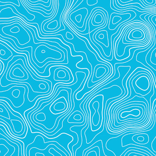 Standard Pro Grille Insert Decals