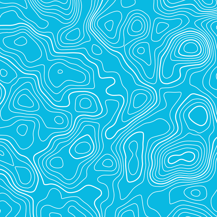 Standard Pro Grille Insert Decals