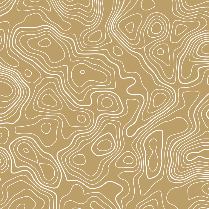 Standard Pro Grille Insert Decals